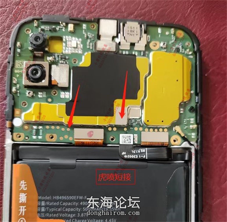 KOZ_畅玩20play5t.jpg