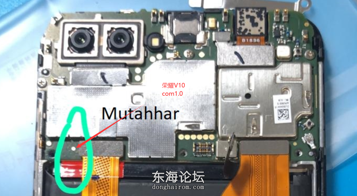 荣耀V10 版1.png