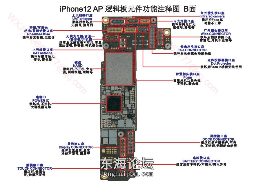 12芯片分析图2.jpg