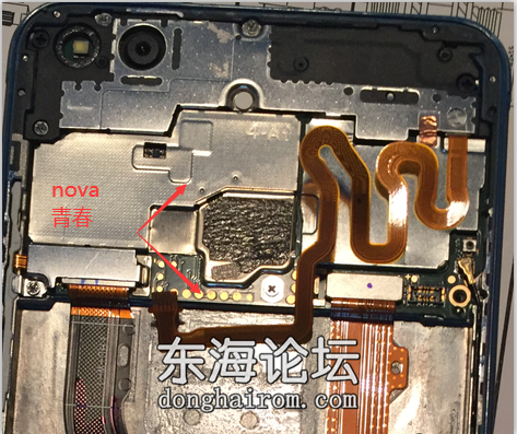 Nova青春版 TP.png