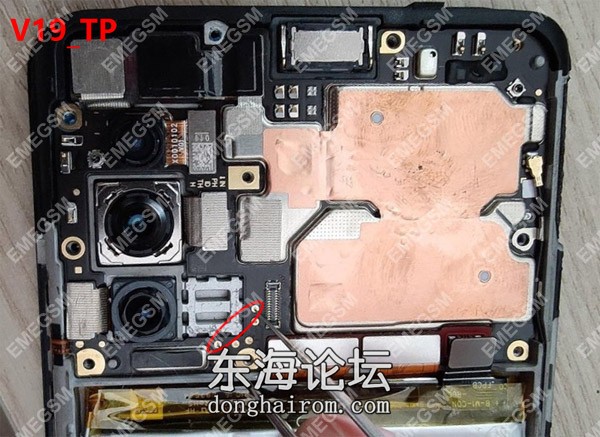 V19 4G(PD1969F).jpg